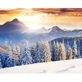 Modern Landscape Home Wall Art