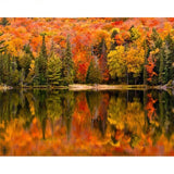 Modern Landscape Home Wall Art