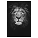 Wild Animal Wall Art Posters and Prints Wall Pictures for Living Room Decoration