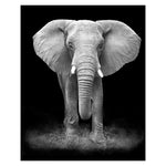 Wild Animal Wall Art Posters and Prints Wall Pictures for Living Room Decoration