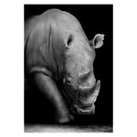 Wild Animal Wall Art Posters and Prints Wall Pictures for Living Room Decoration