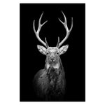 Wild Animal Wall Art Posters and Prints Wall Pictures for Living Room Decoration