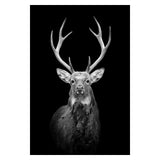 Wild Animal Wall Art Posters and Prints Wall Pictures for Living Room Decoration