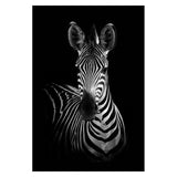 Wild Animal Wall Art Posters and Prints Wall Pictures for Living Room Decoration