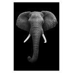 Wild Animal Wall Art Posters and Prints Wall Pictures for Living Room Decoration