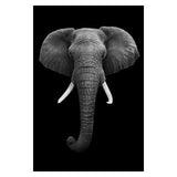 Wild Animal Wall Art Posters and Prints Wall Pictures for Living Room Decoration