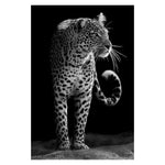 Wild Animal Wall Art Posters and Prints Wall Pictures for Living Room Decoration